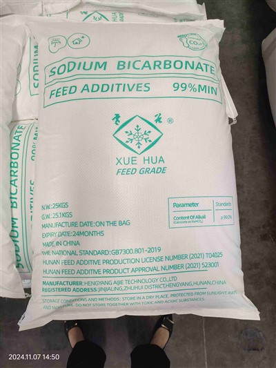 동물 소화 불량을위한 베이킹 소다